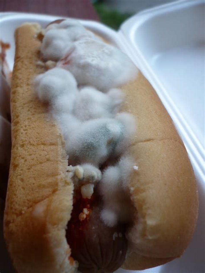 Question: What Happens If You Eat A Moldy Hot Dog