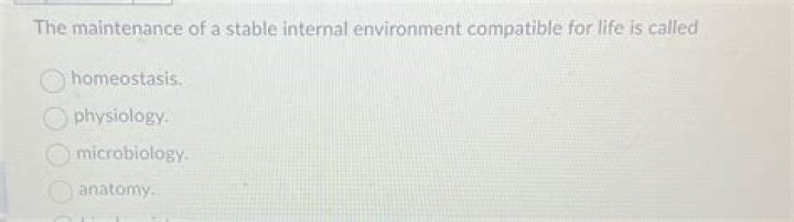 Question: What Is Maintenance Of A Stable Internal Environment Called