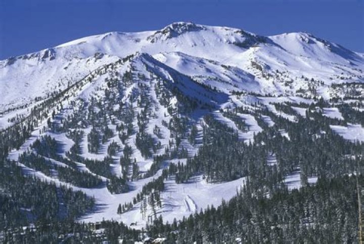 Question: What Is The Elevation Of Mammoth Mountain
