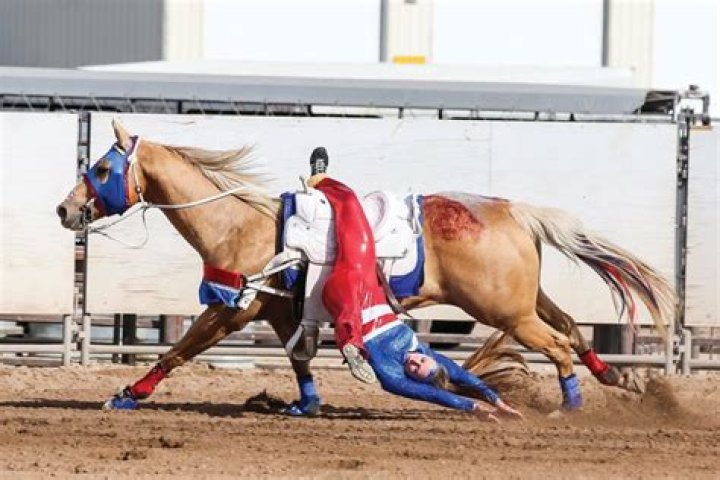 Question: What Trick Riding Horses