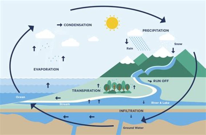 Question: Which Part Of The Water Cycle Is A Biological Process