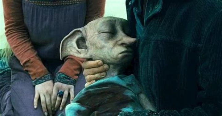 Question: Why Does Dobby Visit Harry