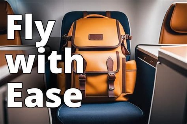 Question: Will A Backpack Fit Under An Airplane Seat