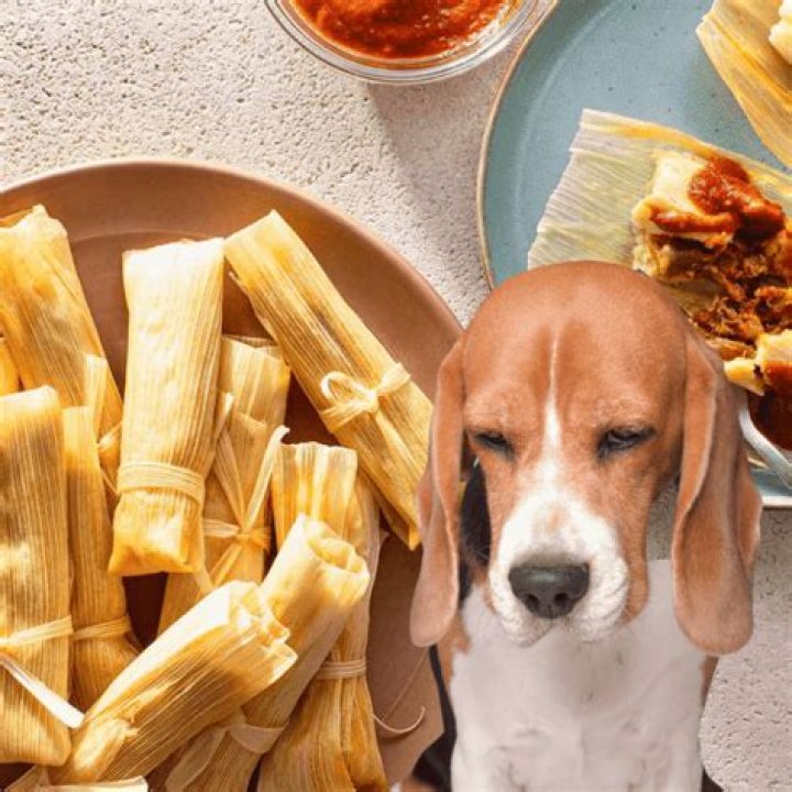 Quick Answer: Are Hot Tamales Bad For Dogs