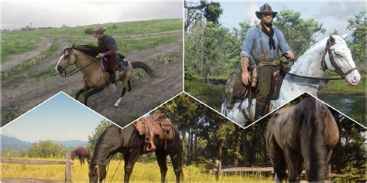 Quick Answer: Are Shire Horse Good For Riding Rdr2