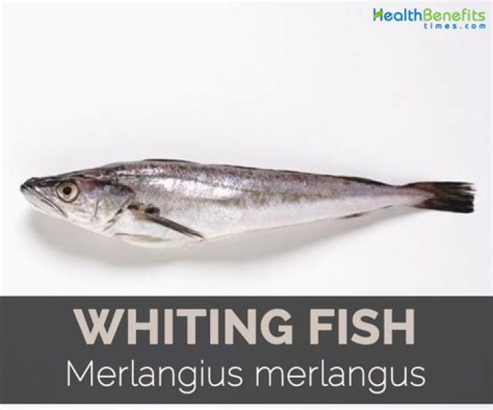 Quick Answer: Are Whiting Fish Strong Or Mild