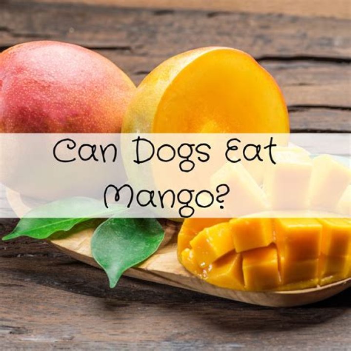 Quick Answer: Can Dogs Eat Mango Ice Cream