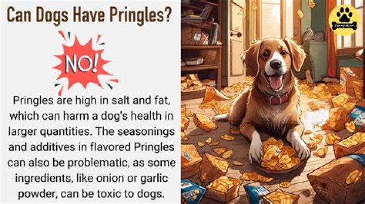 Quick Answer: Can Dogs Have Pringles