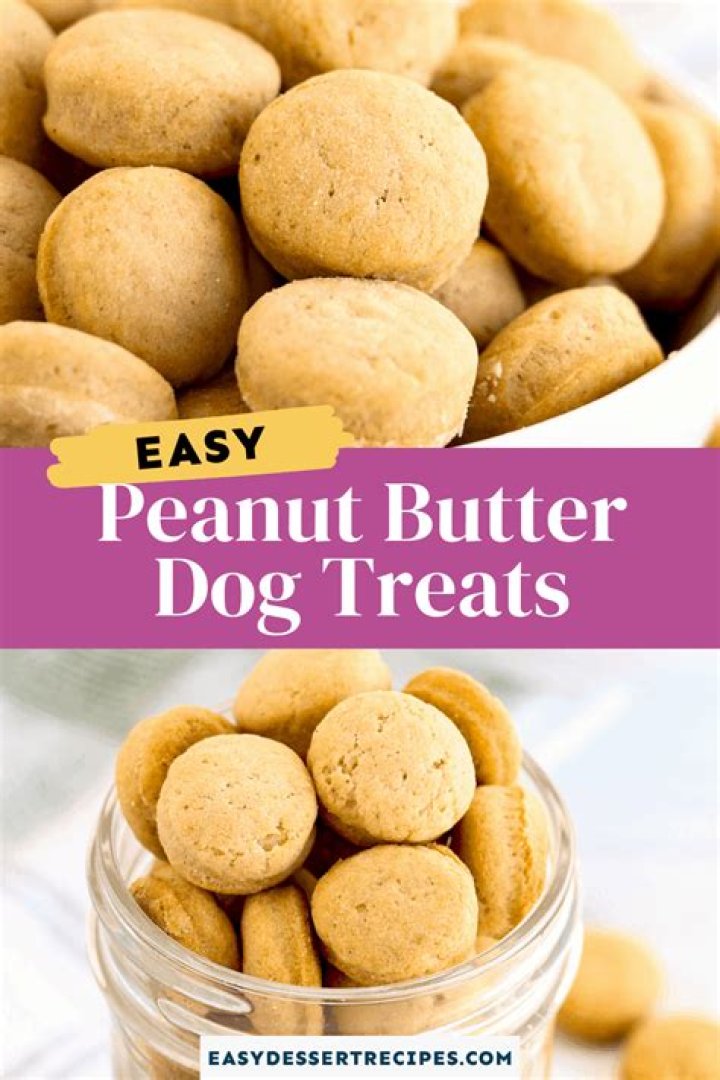 Quick Answer: Can You Give Dogs Peanut Butter Sandwich