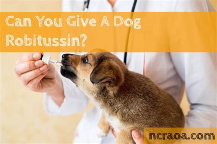 Quick Answer: Can You Give Robitussin And Benadryl Together To Dog