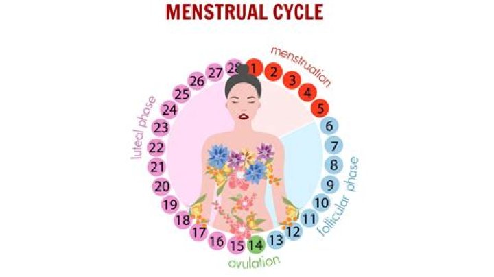 Quick Answer: Does Plan B Delay Your Period Cycle