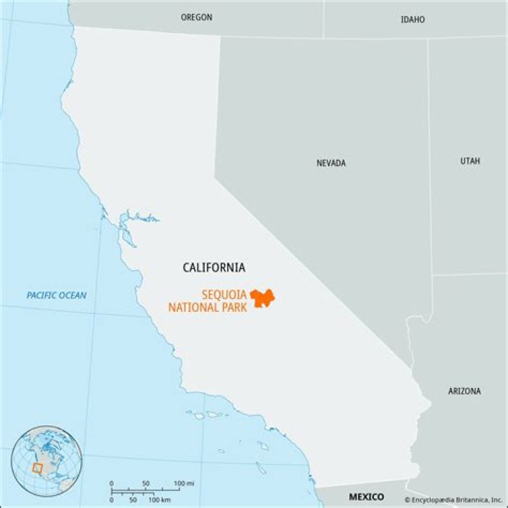 Quick Answer: How Far Can Water Travel In A Sequoia