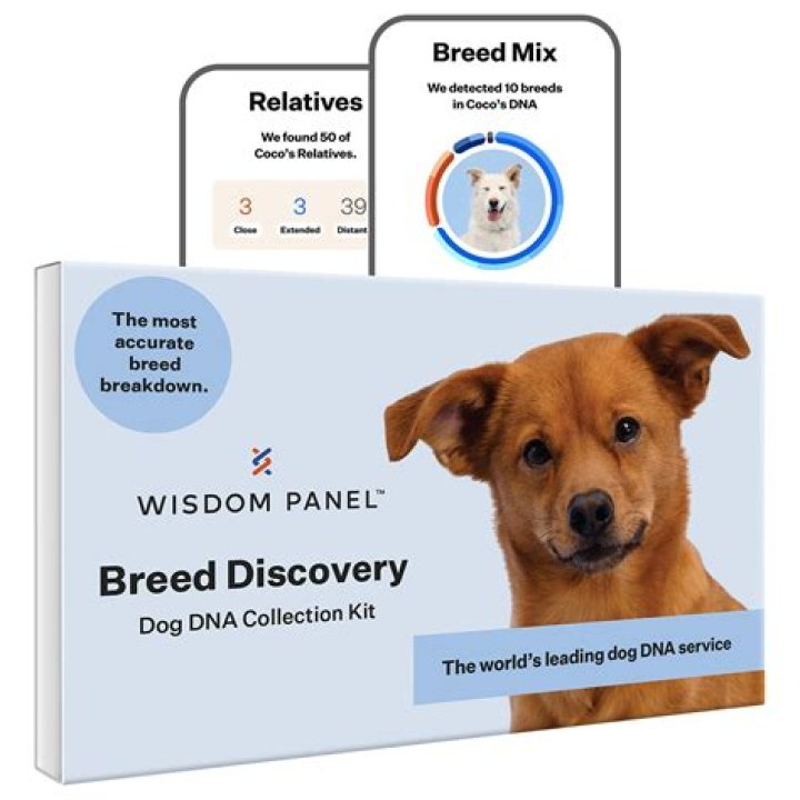 Quick Answer: How Long Does A Wisdom Panel Dog Dna Test Take