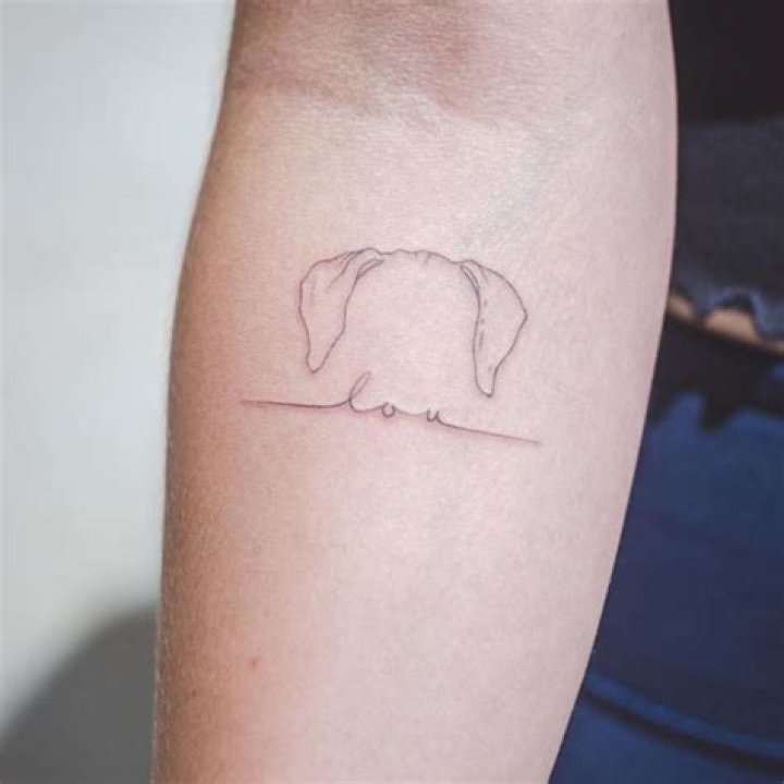 Quick Answer: How Long Does Ear Tattoo In Dog Last