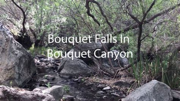 Quick Answer: How Long Is The Hike To Bouquet Canyon Falls