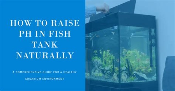 Quick Answer: How Much Baking Soda To Raise Ph In Fish Tank