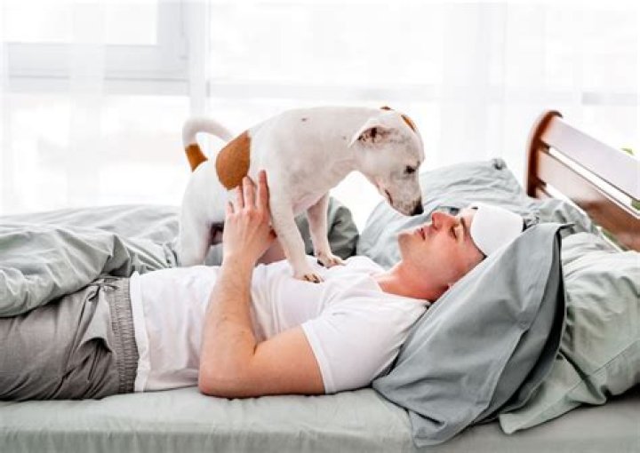 Quick Answer: How Much Dna Do We Share With Dogs