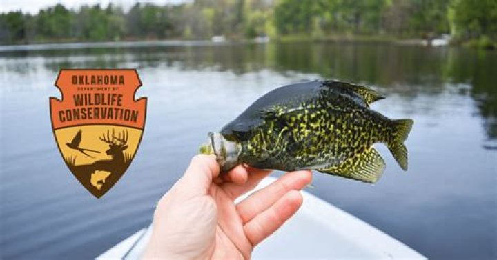 Quick Answer: How Much Does Fishing License Cost In Oklahoma