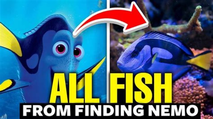 Quick Answer: How Much Is A Finding Nemo Fish