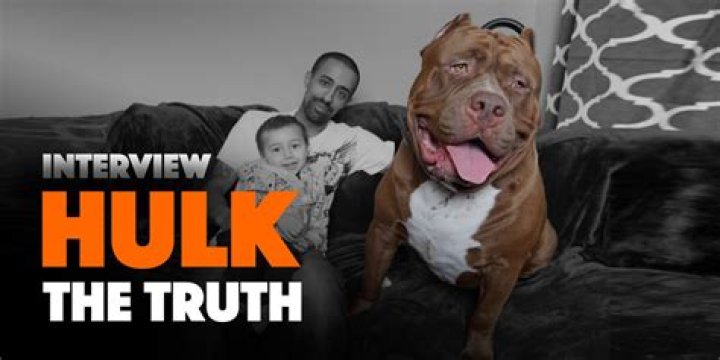 Quick Answer: How Old Is Hulk The Dog