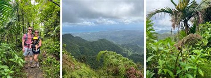 Quick Answer: How To Get To El Yunque From San Juan
