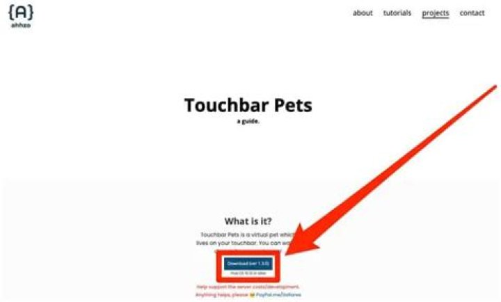 Quick Answer: How To Get Touch Bar Pet Health Up