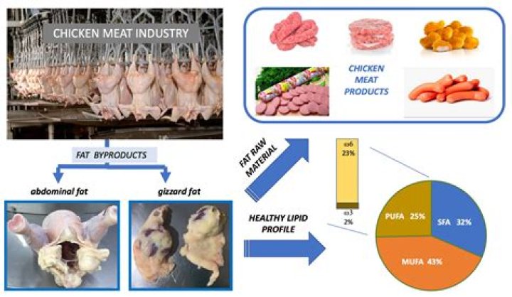 Quick Answer: Is Chicken Fat Bad For Dogs
