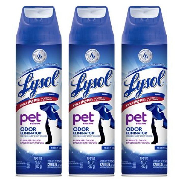 Quick Answer: Is Spraying Lysol On Carpet Bad For Your Dogs