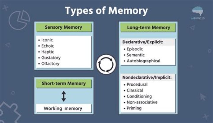 Quick Answer: Remembering How To Ride A Bike Is An Example Of Which Type Of Memory