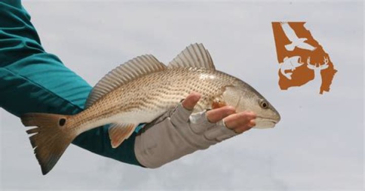 Quick Answer: What Age Do You Need A Fishing License In Georgia