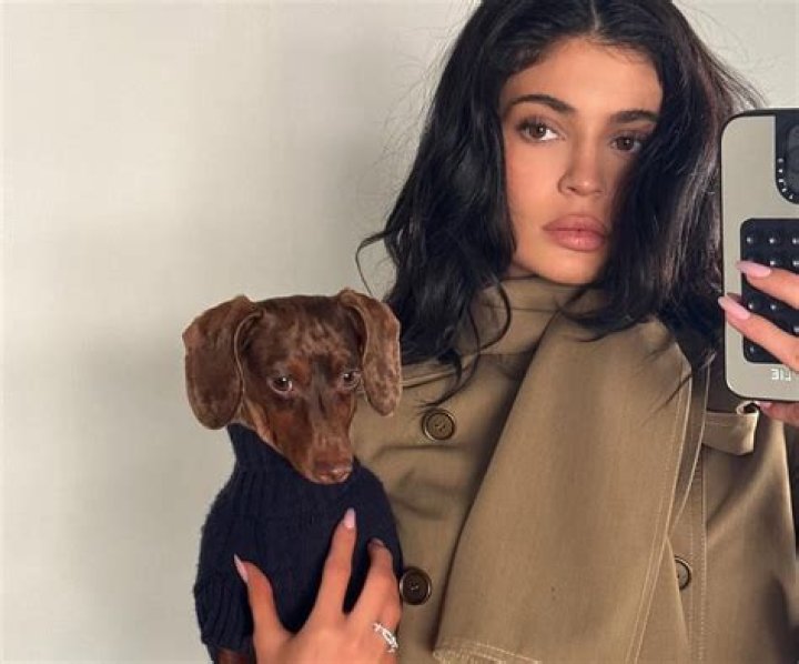 Quick Answer: What Does Kylie Jenner Feed Her Dogs