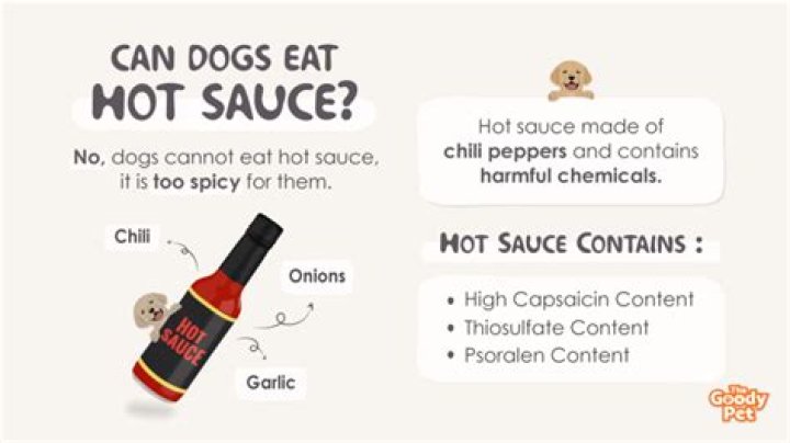 Quick Answer: What If My Dog Ate Hot Peppers