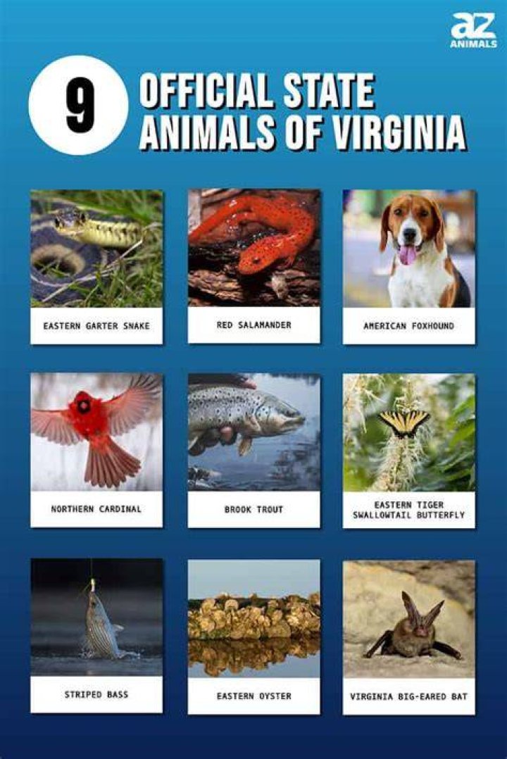 Quick Answer: What Is The Maximum Window Tent In The State Of Virginia
