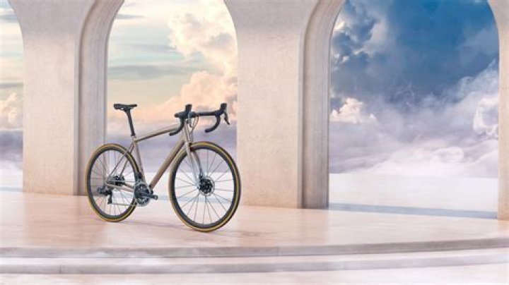 Quick Answer: Who Manufactures Specialized Bikes