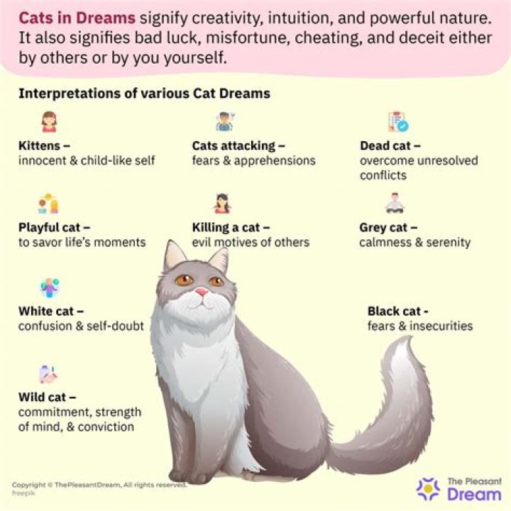 What Does Dreaming Of Cats And Dogs Mean