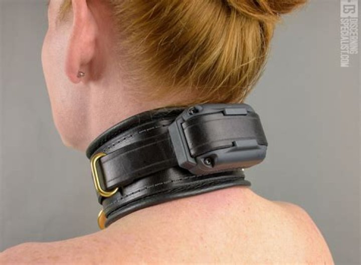 What Does Shock Collar Mean