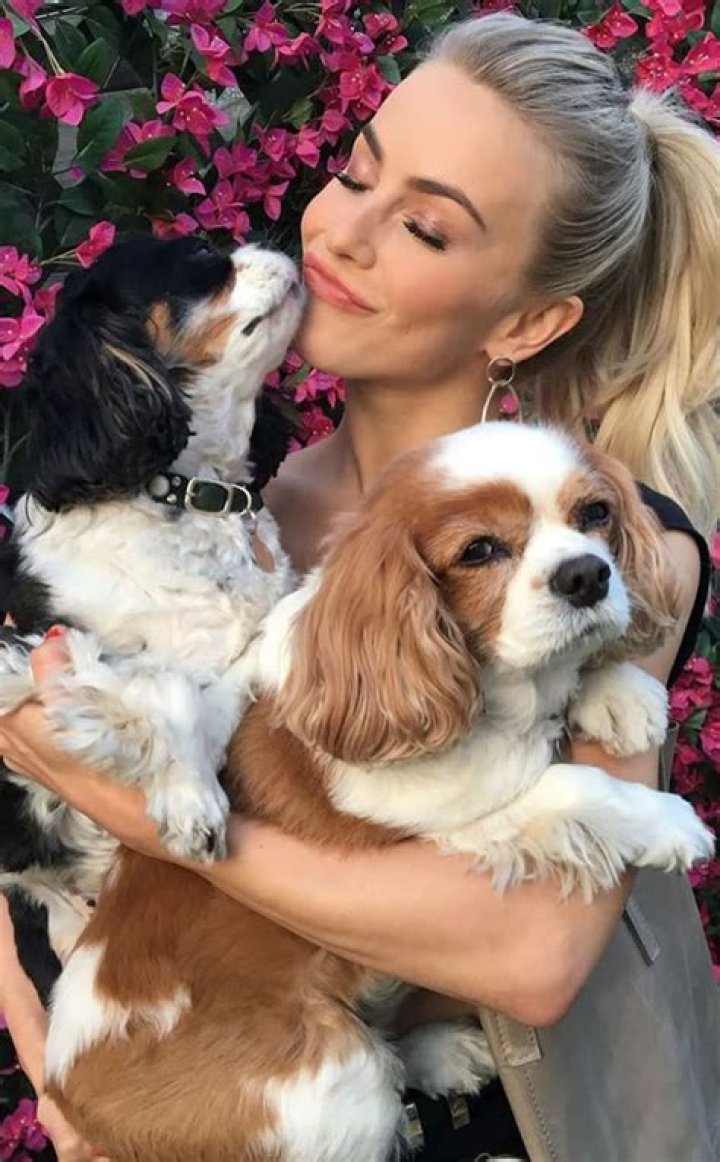 What Happened To Julianne Hough’s Dogs
