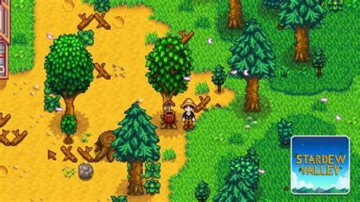 What Happens If You Are Asked To Go Camping In The Secret Woods Stardew Valley
