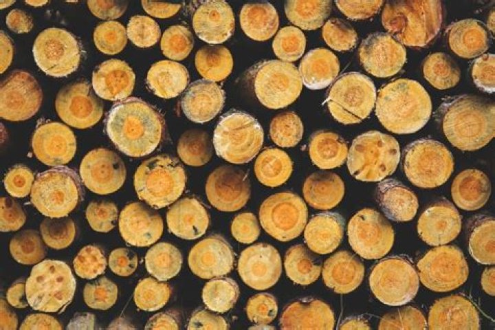 What Is The Lightest Wood