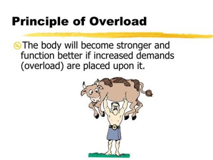 What Is The Principle Of Overload
