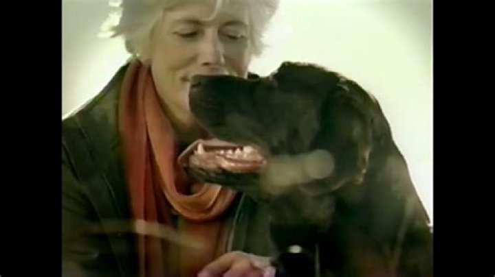 What kind of dog is in the dog food commercial?