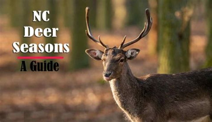 When Does Deer Hunting Season Start In Indiana