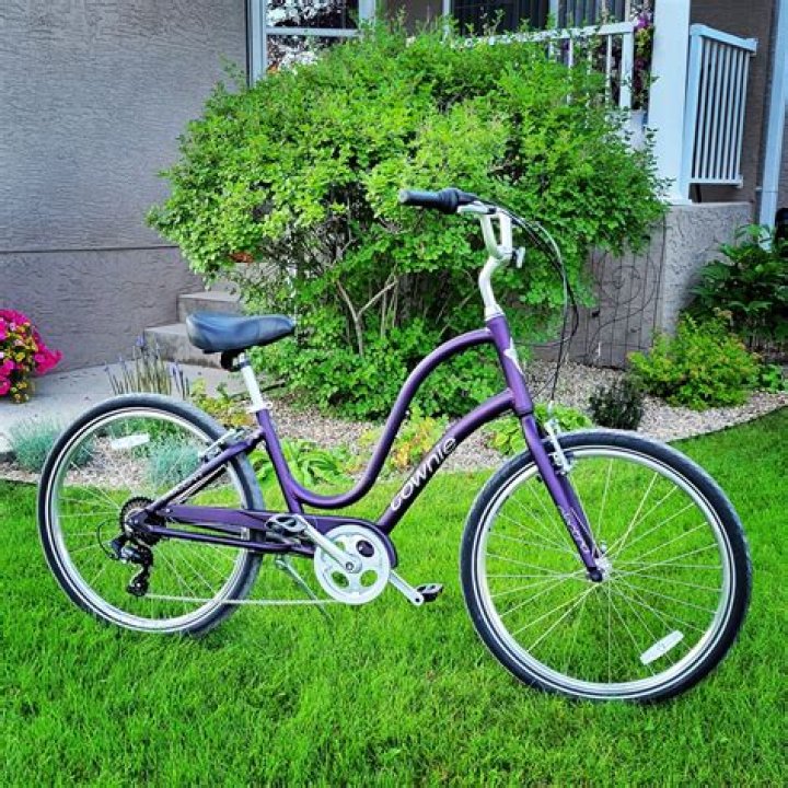 Who Makes Towne Bikes